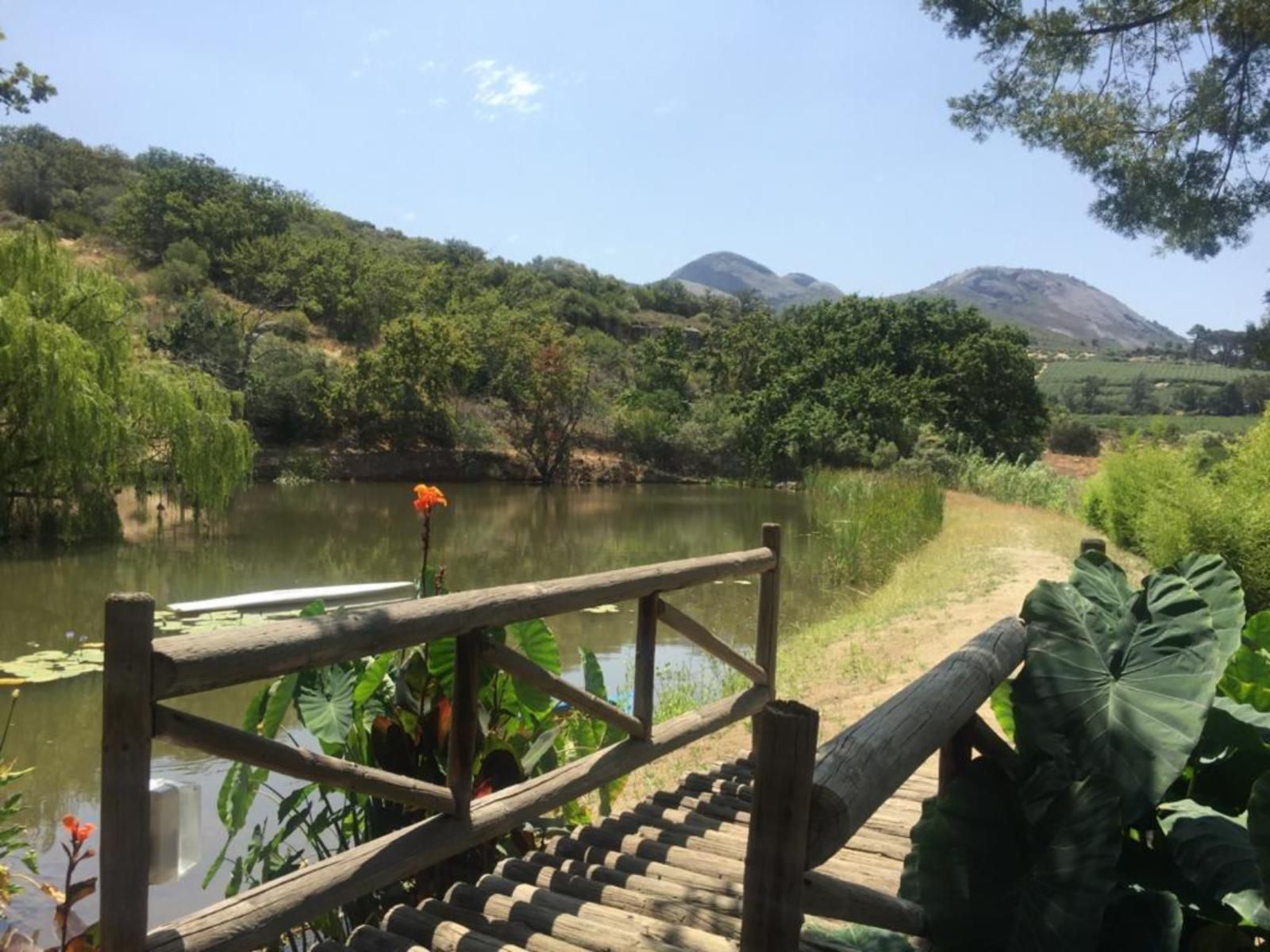 Picardie Guest Farm Paarl Western Cape South Africa Complementary Colors, Boat, Vehicle, Mountain, Nature, River, Waters, Highland