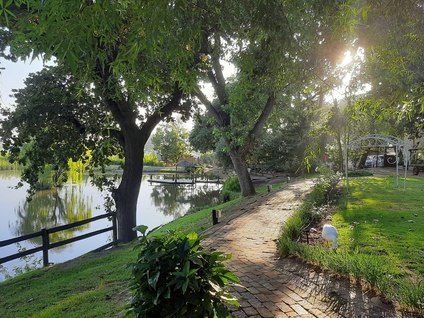 Picardie Guest Farm Paarl Western Cape South Africa Palm Tree, Plant, Nature, Wood, River, Waters, Tree, Garden