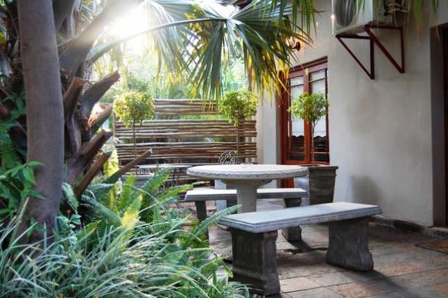 Picasso S Guest House Lephalale Ellisras Limpopo Province South Africa Palm Tree, Plant, Nature, Wood, Bar, Garden