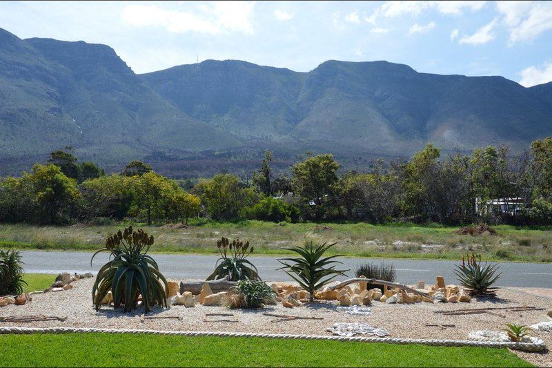 Piece Of Paradise Vermont Za Hermanus Western Cape South Africa Complementary Colors, Plant, Nature