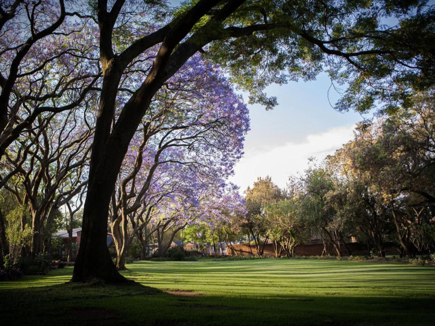 Pierneef S Kraal Lynnwood Manor Pretoria Tshwane Gauteng South Africa Plant, Nature, Garden