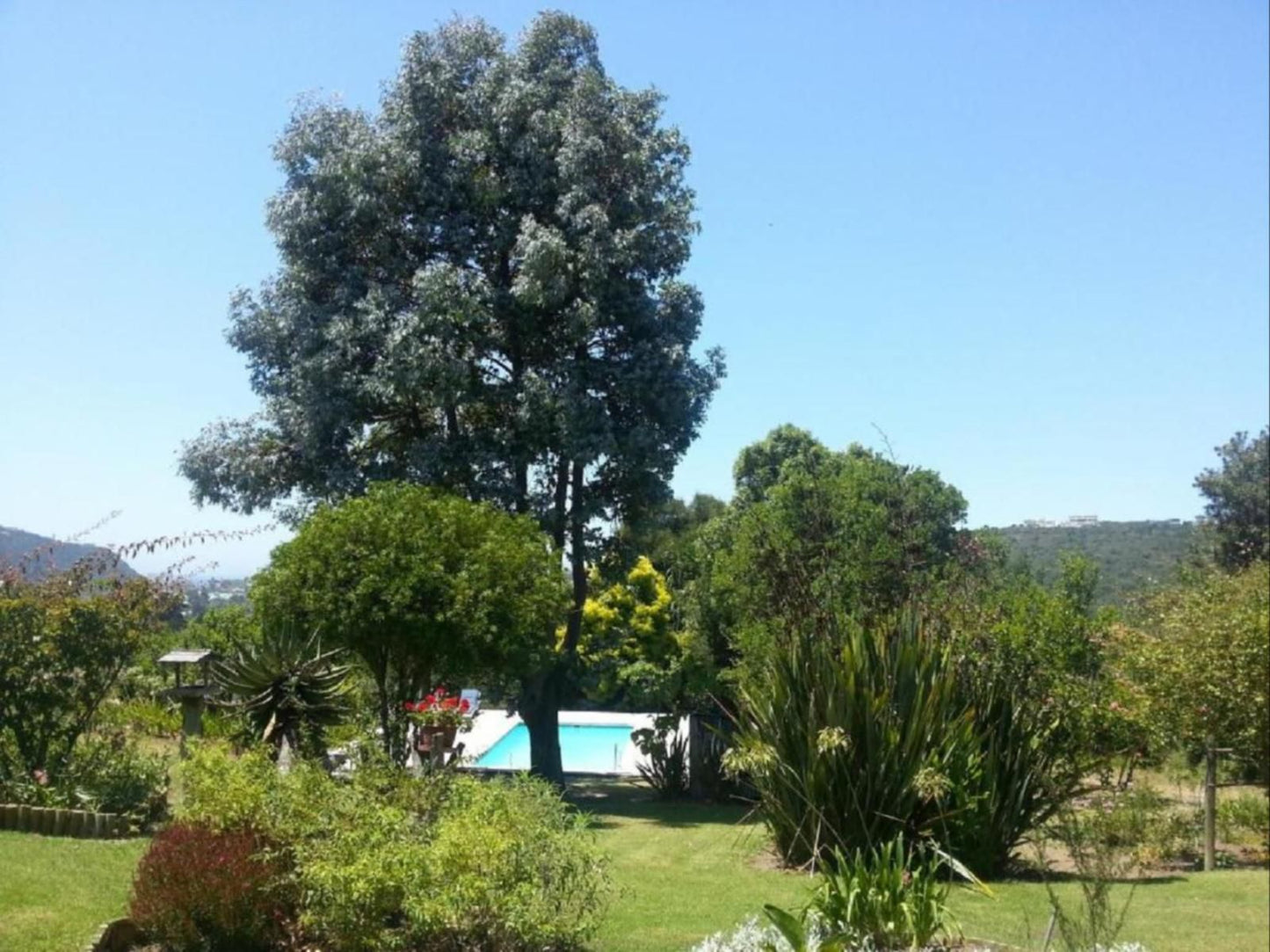 Piesang Valley Lodge Plettenberg Bay Western Cape South Africa Complementary Colors, Palm Tree, Plant, Nature, Wood