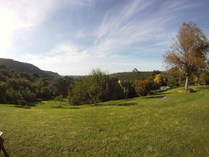 Piesang Valley Lodge Plettenberg Bay Western Cape South Africa Complementary Colors, Nature