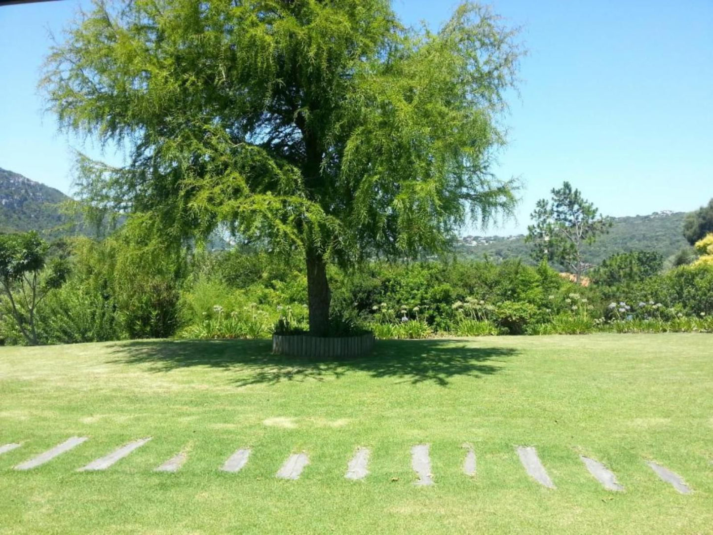 Piesang Valley Lodge Plettenberg Bay Western Cape South Africa Complementary Colors, Plant, Nature, Tree, Wood, Garden