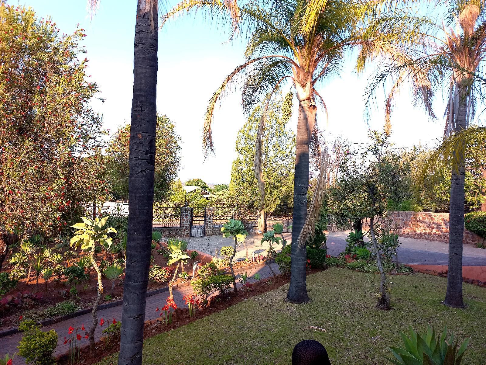 Pilanesberg Guest House Mogwase North West Province South Africa Palm Tree, Plant, Nature, Wood, Garden