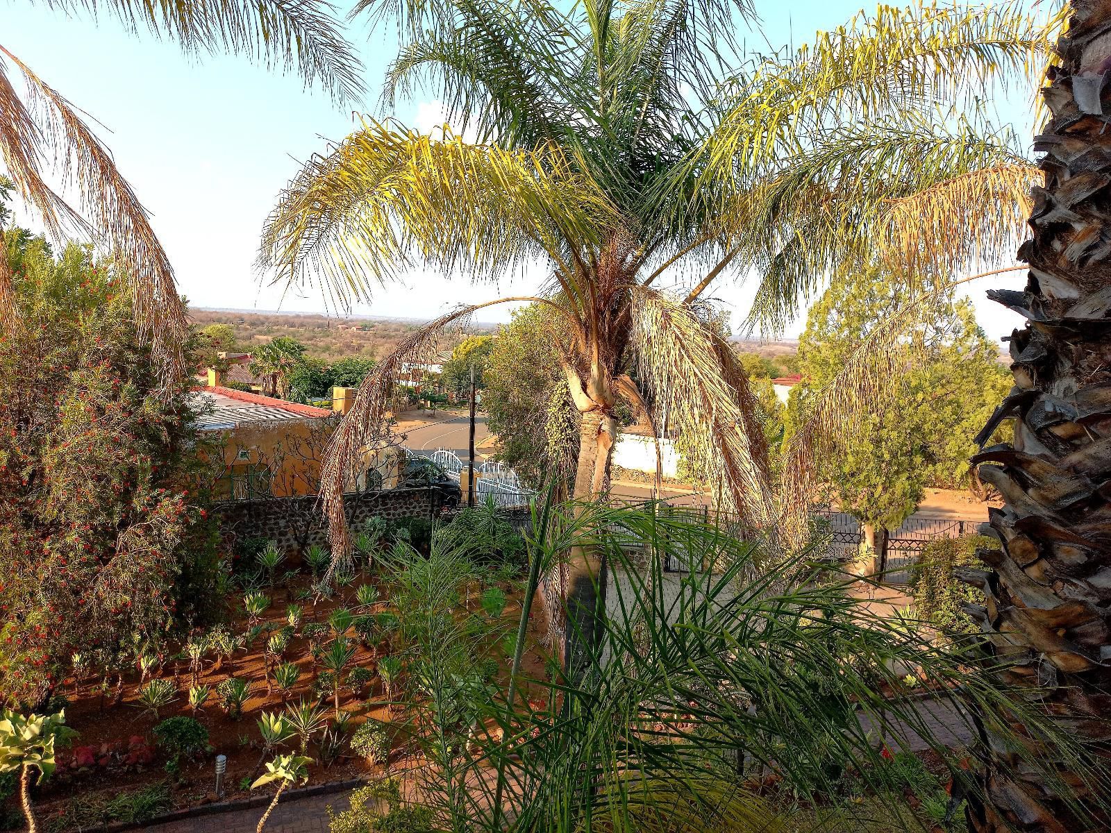 Pilanesberg Guest House Mogwase North West Province South Africa Palm Tree, Plant, Nature, Wood, Garden