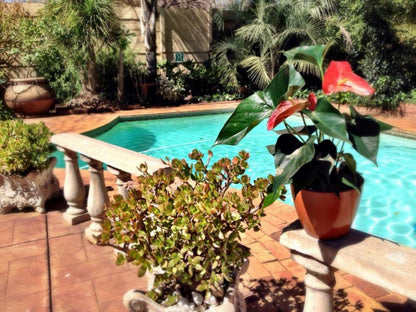 Pilgrims Delight Bandb Centurion Gauteng South Africa Plant, Nature, Garden, Swimming Pool