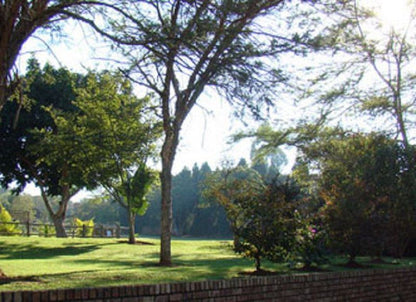 Pinehurst Place White River Mpumalanga South Africa Tree, Plant, Nature, Wood