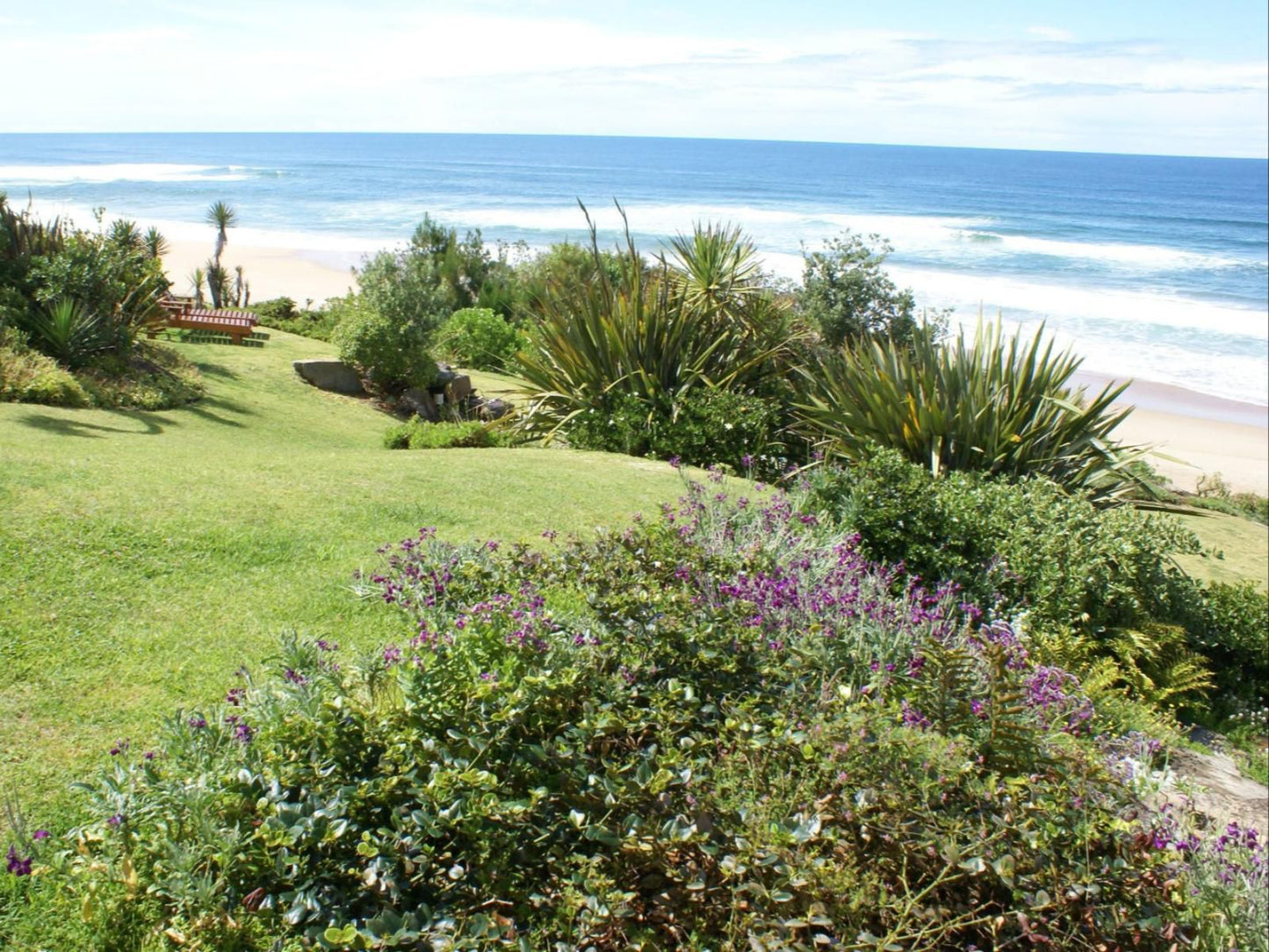 Pink Lodge Wilderness Western Cape South Africa Beach, Nature, Sand, Plant, Garden