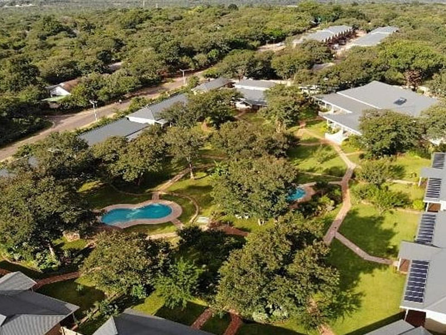 Pioneers, Palm Tree, Plant, Nature, Wood, Garden, Swimming Pool