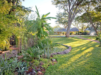 Pioneers, Palm Tree, Plant, Nature, Wood, Garden