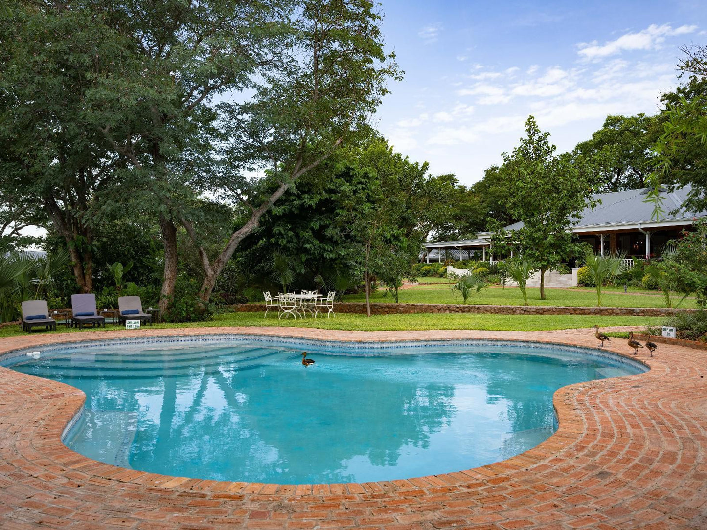 Pioneers, Swimming Pool