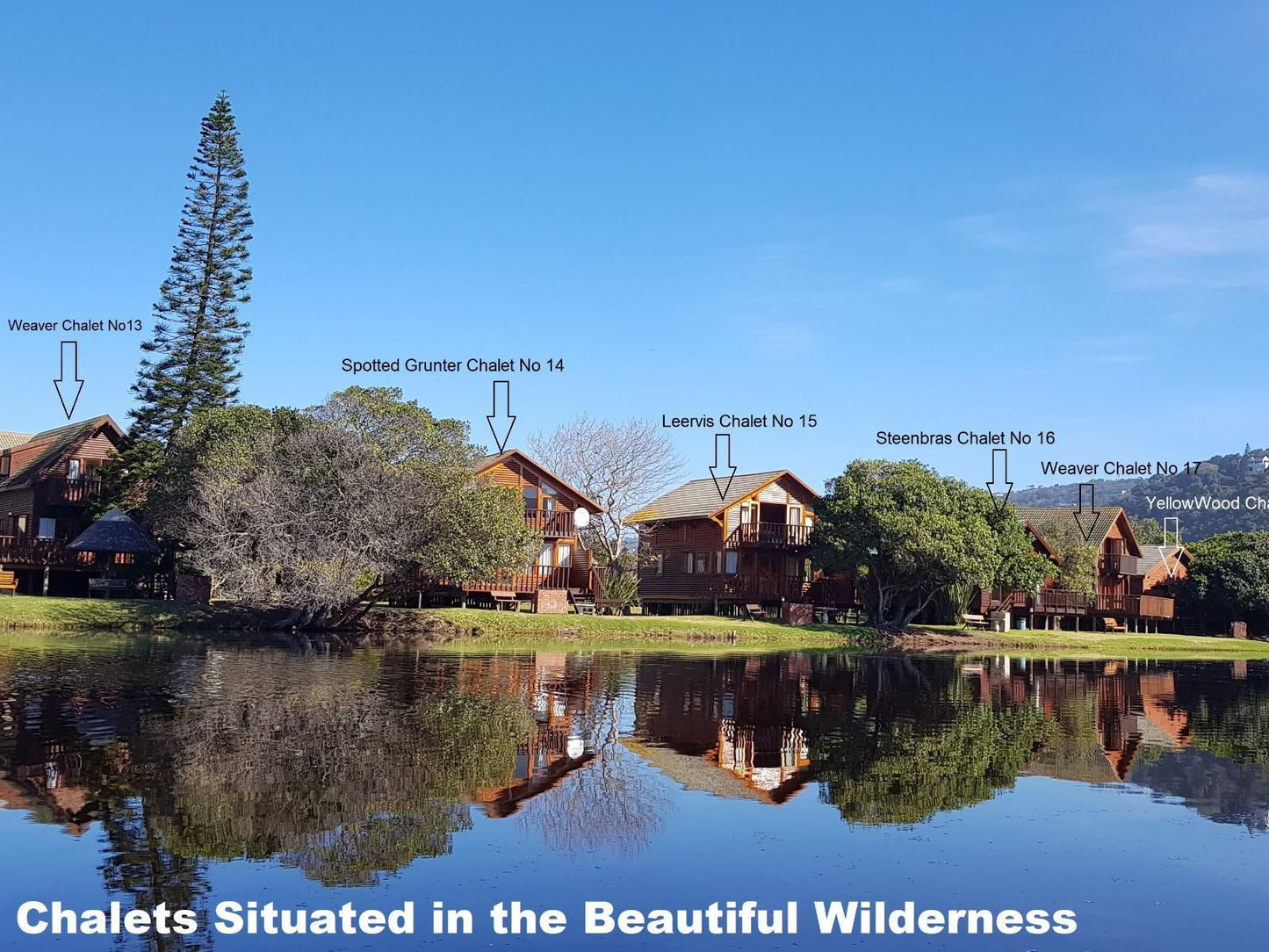 Pirates Creek Self Catering Chalets Wilderness Wilderness Western Cape South Africa Nature