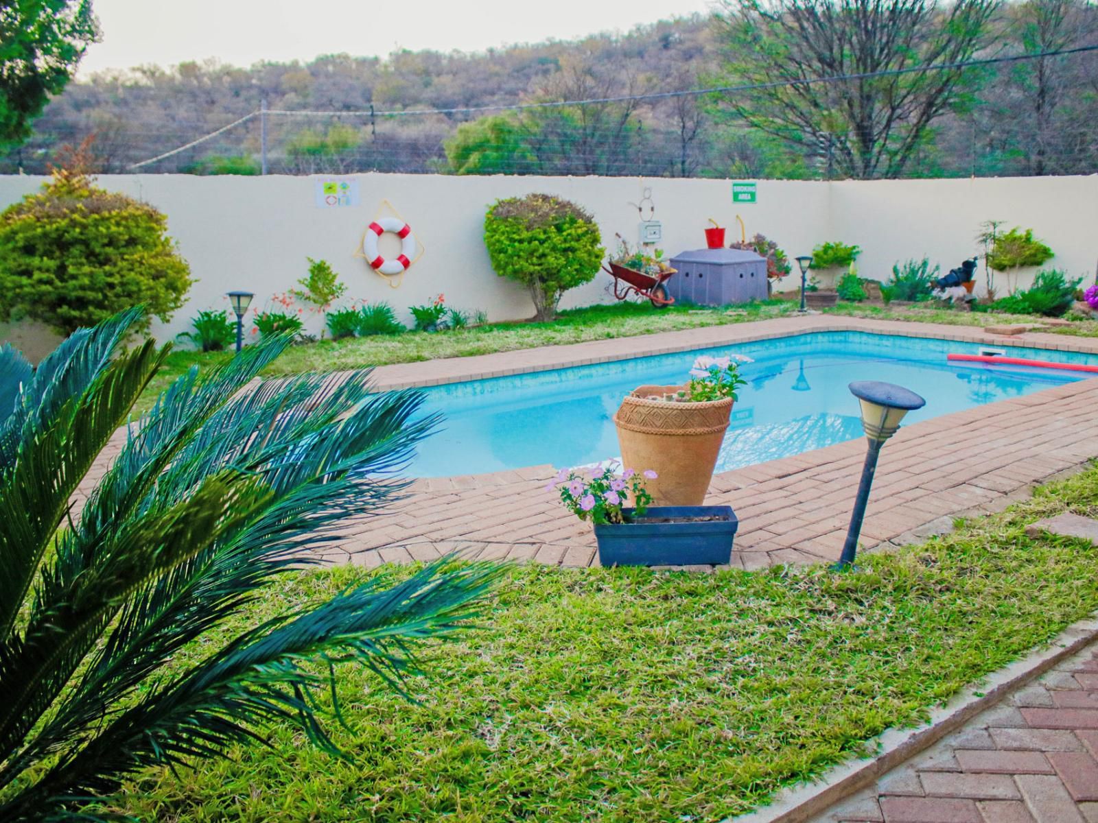 Pitikwe Hill Guesthouse, Garden, Nature, Plant, Swimming Pool