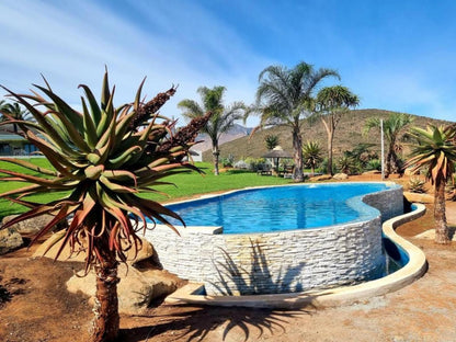 Pjure Montagu Western Cape South Africa Complementary Colors, Palm Tree, Plant, Nature, Wood, Garden, Swimming Pool