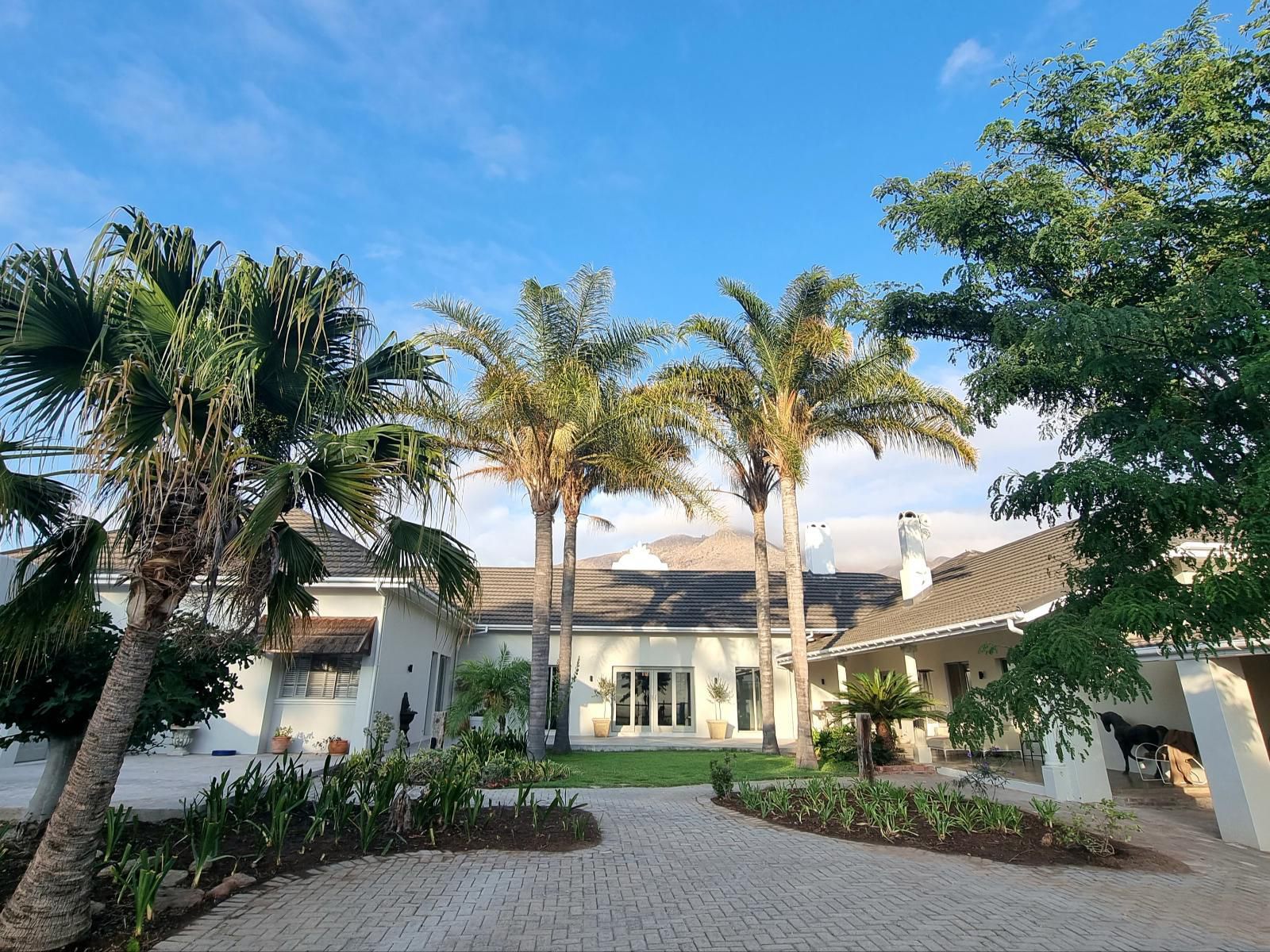 Pjure Montagu Western Cape South Africa House, Building, Architecture, Palm Tree, Plant, Nature, Wood