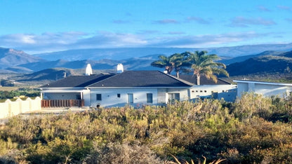 Pjure Montagu Western Cape South Africa Complementary Colors, Palm Tree, Plant, Nature, Wood