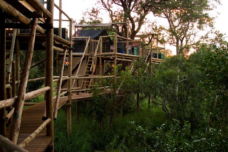 Plains Camp Rhino Walking Safaris South Kruger Park Mpumalanga South Africa Bridge, Architecture