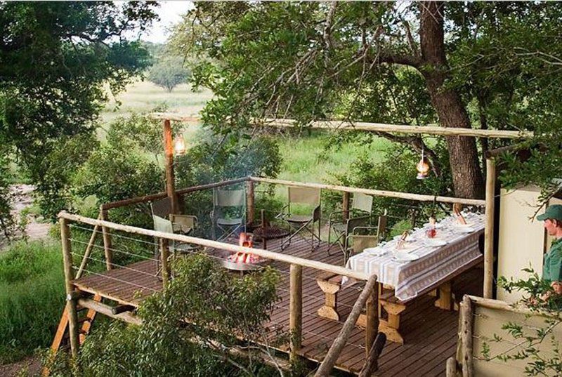 Plains Camp Rhino Walking Safaris South Kruger Park Mpumalanga South Africa Bridge, Architecture