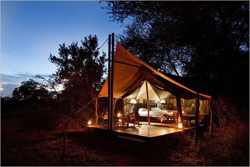 Plains Camp Rhino Walking Safaris South Kruger Park Mpumalanga South Africa 