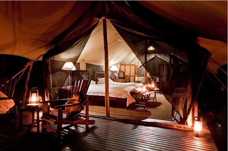 Plains Camp Rhino Walking Safaris South Kruger Park Mpumalanga South Africa Tent, Architecture, Bedroom