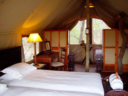 Plains Camp Rhino Walking Safaris South Kruger Park Mpumalanga South Africa Tent, Architecture, Bedroom