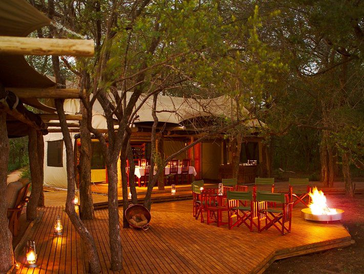 Plains Camp Rhino Walking Safaris South Kruger Park Mpumalanga South Africa Colorful, Bar