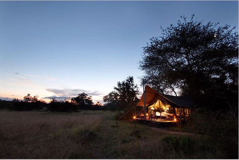 Plains Camp Rhino Walking Safaris South Kruger Park Mpumalanga South Africa Tent, Architecture