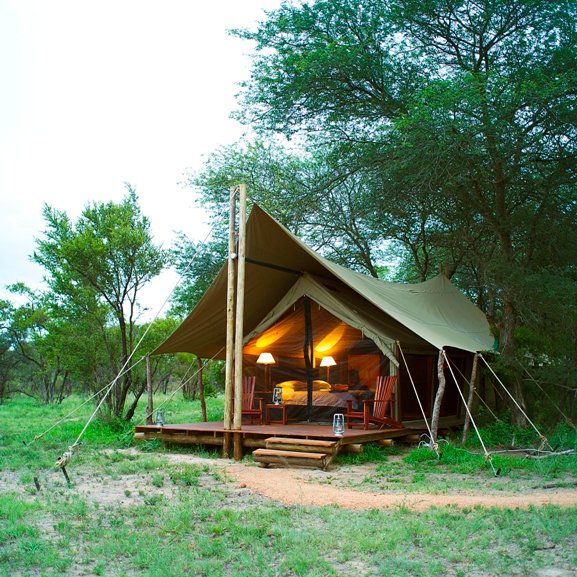 Plains Camp Rhino Walking Safaris South Kruger Park Mpumalanga South Africa 