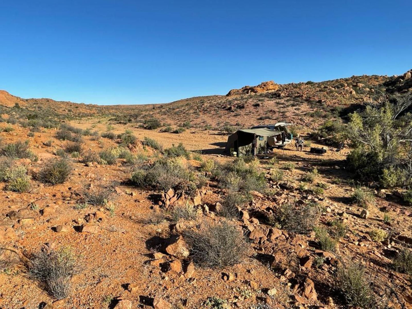 Platbakkies Farm Retreat, Farmyard Camping, Cactus, Plant, Nature, Desert, Sand