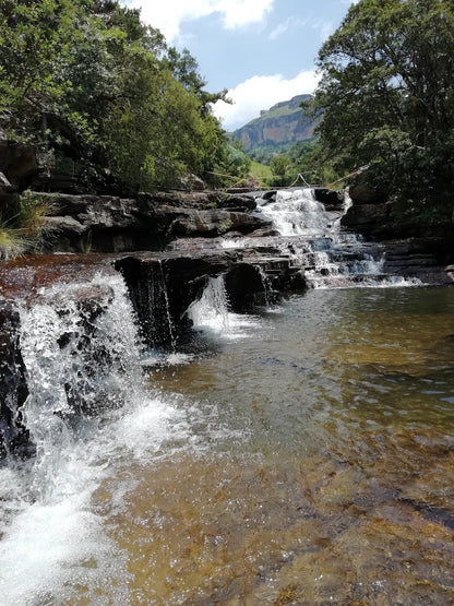  platberg eco park in harrismith