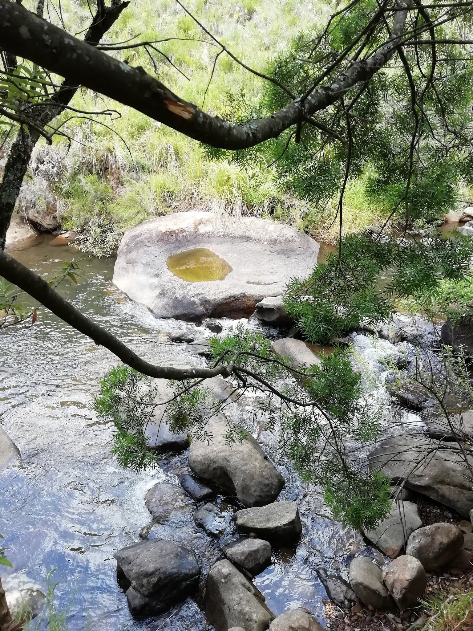  platberg eco park in harrismith