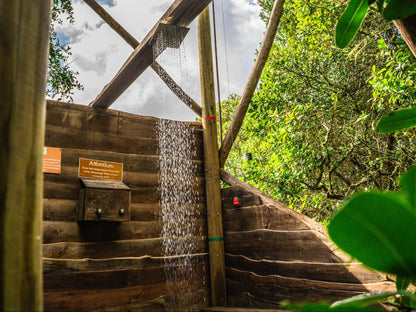 Platbos Forest Reserve, Olive Cabin