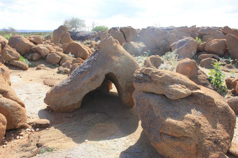 Plato Lodge Augrabies Northern Cape South Africa Cactus, Plant, Nature, Desert, Sand, Stone Texture, Texture