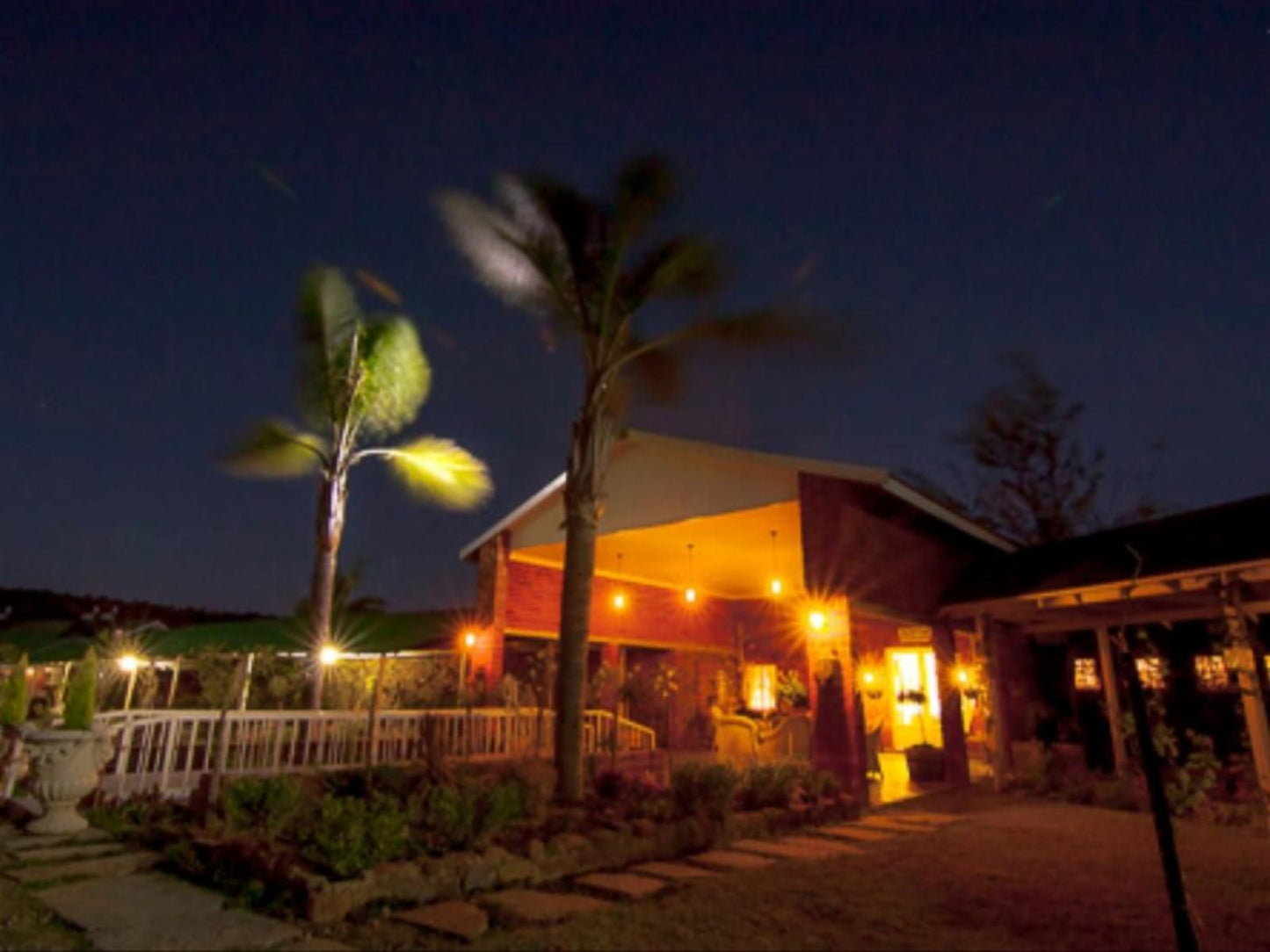 Platrand Lodge Ladysmith Kwazulu Natal Kwazulu Natal South Africa Palm Tree, Plant, Nature, Wood