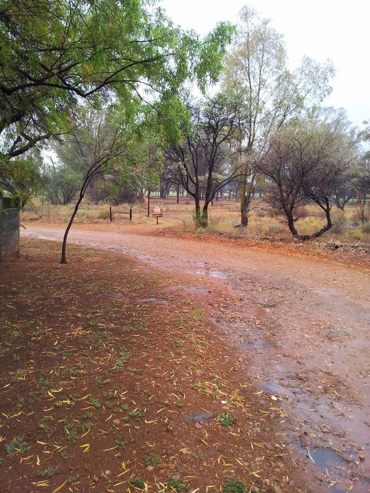 Platteland Gastehuis Jan Kempdorp Northern Cape South Africa Forest, Nature, Plant, Tree, Wood, Lowland, Street