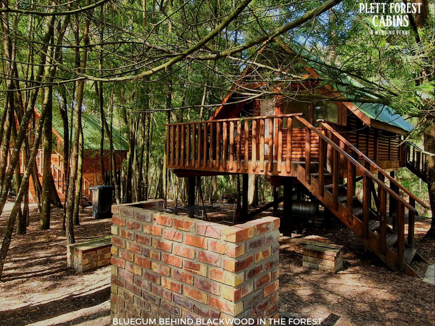 Plett Forest Cabins Harkerville Plettenberg Bay Western Cape South Africa Cabin, Building, Architecture, Forest, Nature, Plant, Tree, Wood