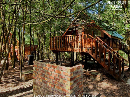 Plett Forest Cabins Harkerville Plettenberg Bay Western Cape South Africa Cabin, Building, Architecture, Forest, Nature, Plant, Tree, Wood