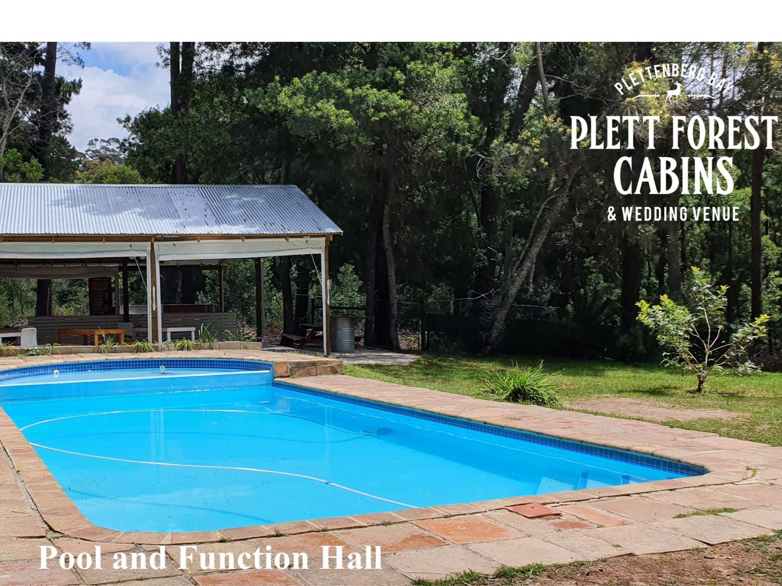 Plett Forest Cabins Harkerville Plettenberg Bay Western Cape South Africa Complementary Colors, Swimming Pool