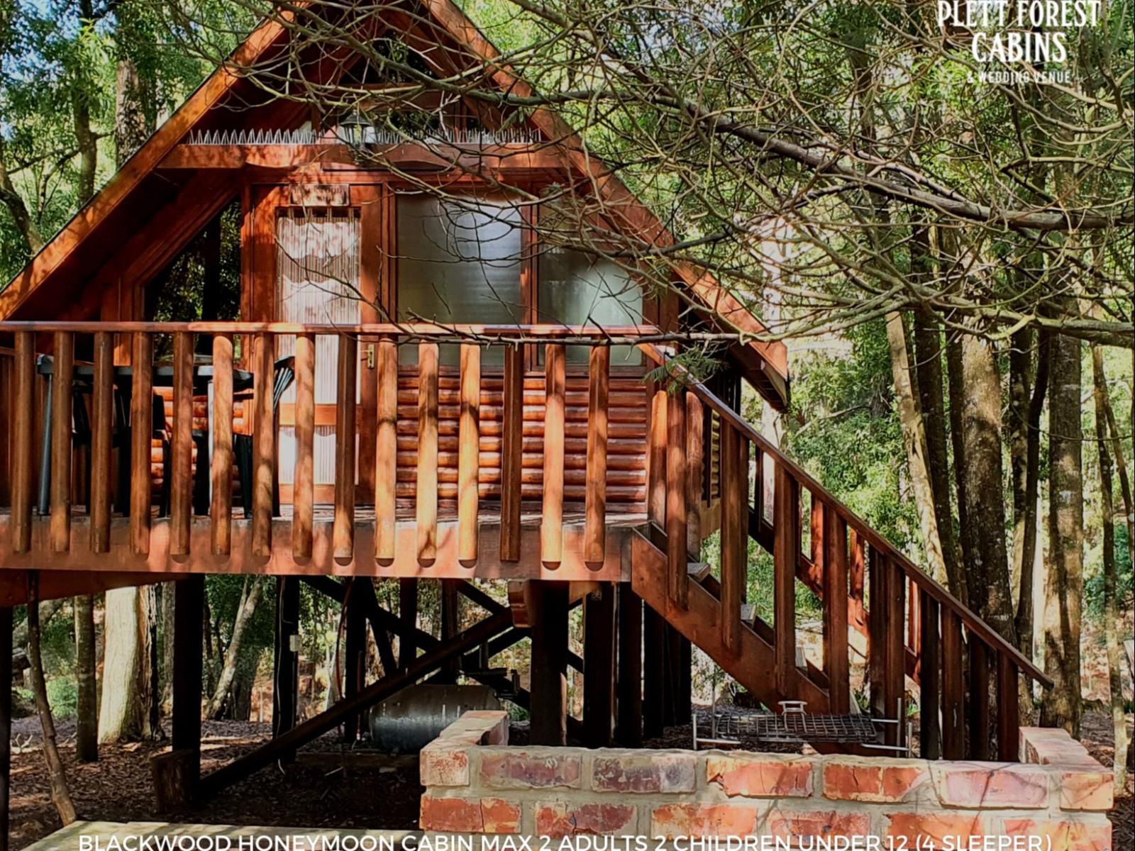 Plett Forest Cabins Harkerville Plettenberg Bay Western Cape South Africa Cabin, Building, Architecture, Forest, Nature, Plant, Tree, Wood