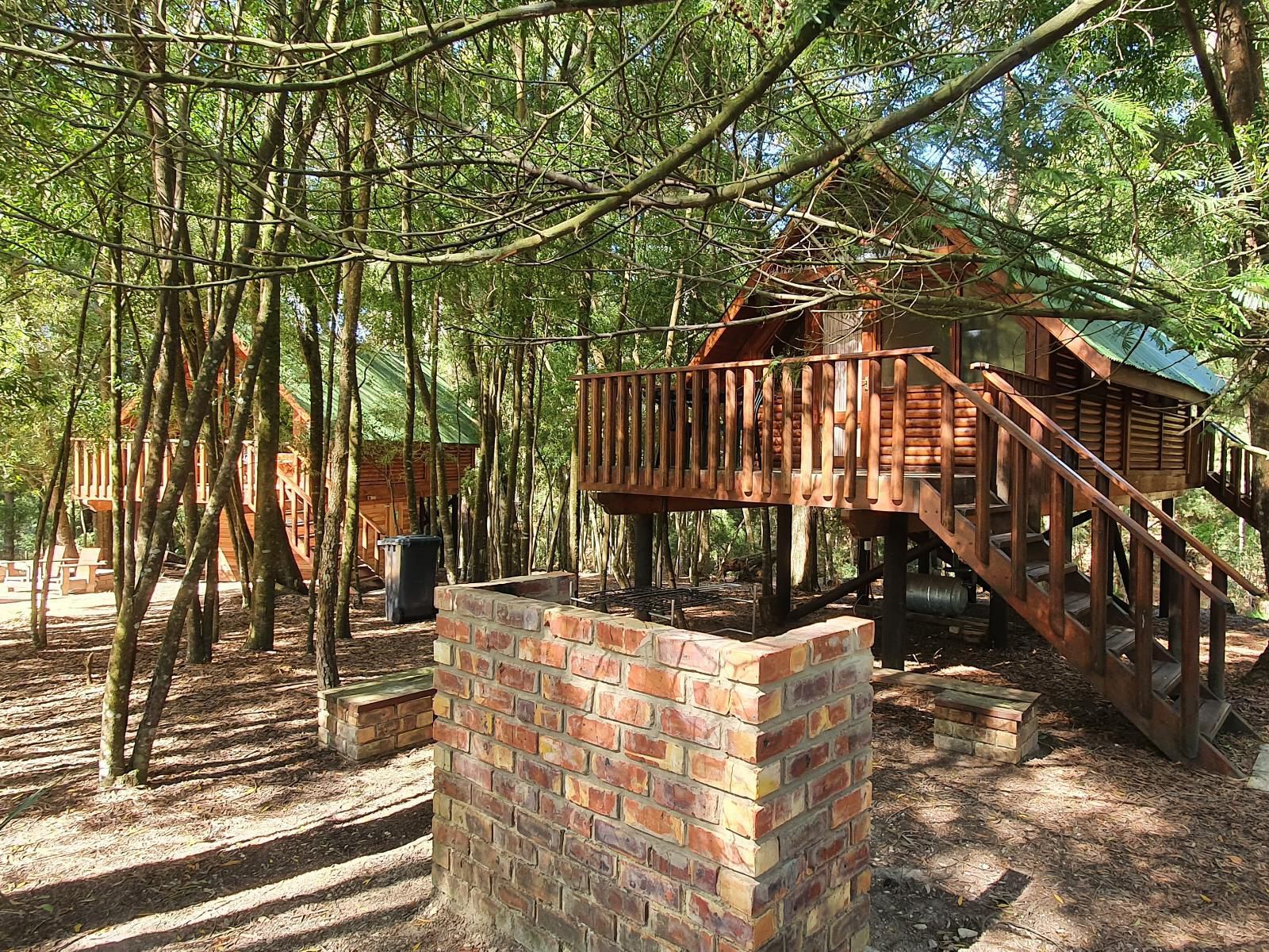 Plett Forest Cabins Harkerville Plettenberg Bay Western Cape South Africa Cabin, Building, Architecture, Forest, Nature, Plant, Tree, Wood