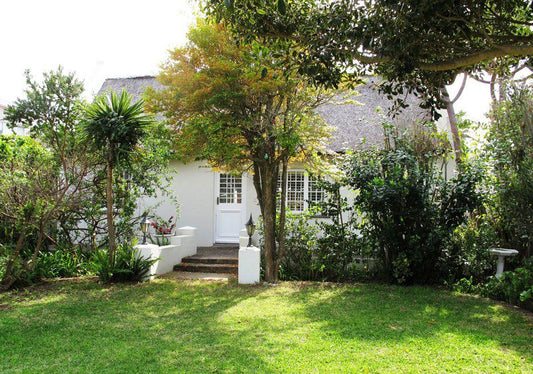 Plett Kumbaya Plett Central Plettenberg Bay Western Cape South Africa House, Building, Architecture, Palm Tree, Plant, Nature, Wood, Garden