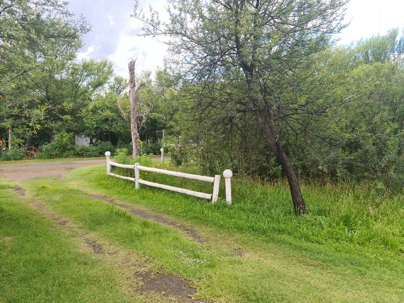 Plover Cottage Bed And Breakfast Glen Bloemfontein Free State South Africa Meadow, Nature, Tree, Plant, Wood