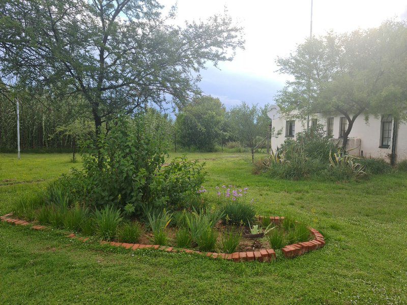 Plover Cottage Bed And Breakfast Glen Bloemfontein Free State South Africa Plant, Nature, Garden