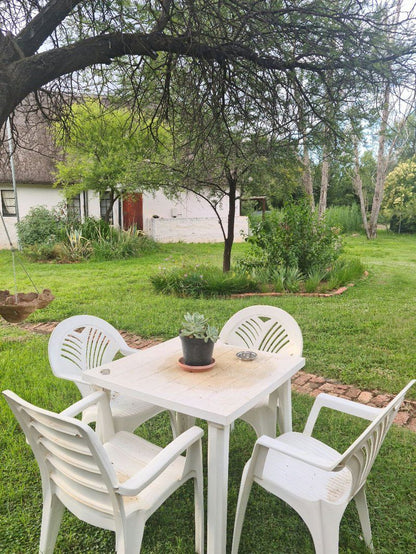 Plover Cottage Bed And Breakfast Glen Bloemfontein Free State South Africa Plant, Nature, Garden