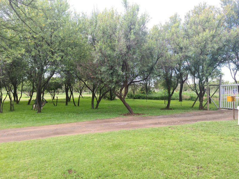 Plover Cottage Bed And Breakfast Glen Bloemfontein Free State South Africa Tree, Plant, Nature, Wood