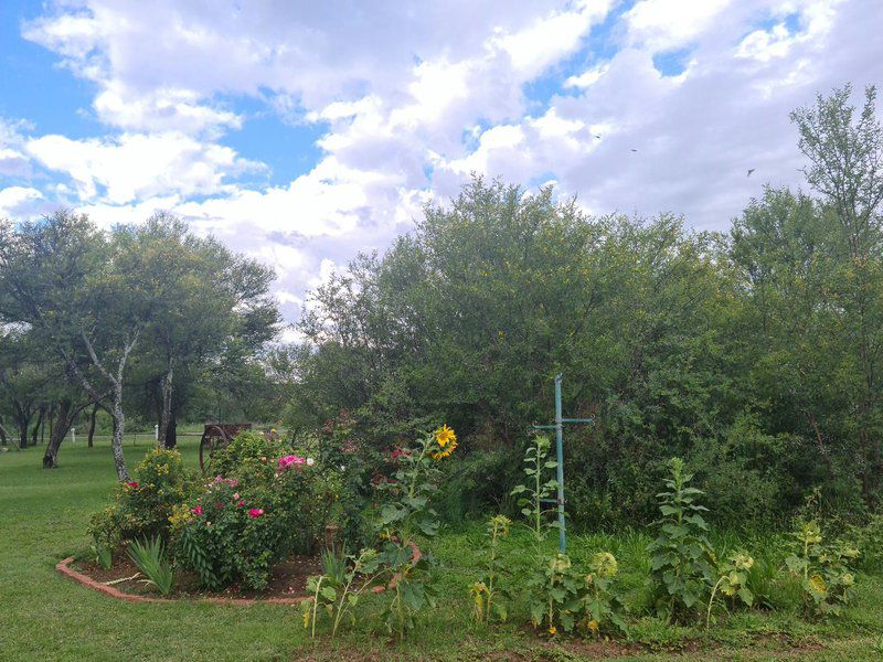 Plover Cottage Bed And Breakfast Glen Bloemfontein Free State South Africa Complementary Colors, Plant, Nature, Garden