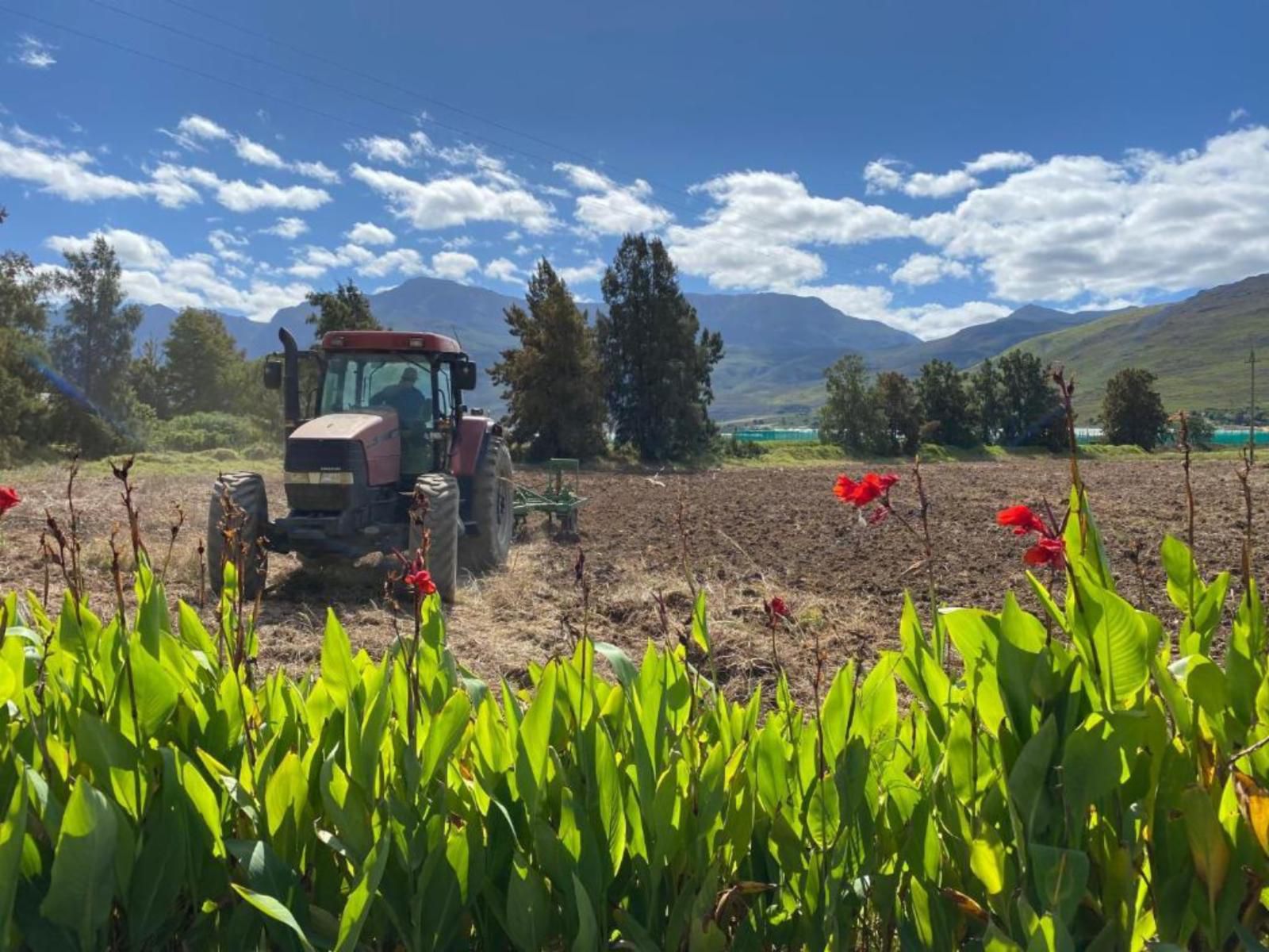 Plumtree Farm Riviersonderend Western Cape South Africa Complementary Colors, Field, Nature, Agriculture, Tractor, Vehicle, Lowland