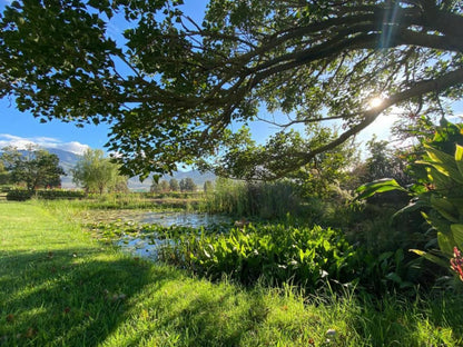 Plumtree Farm Riviersonderend Western Cape South Africa Garden, Nature, Plant