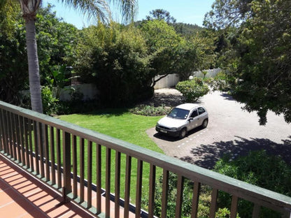 Point Lodge The Point Knysna Western Cape South Africa Palm Tree, Plant, Nature, Wood, Garden